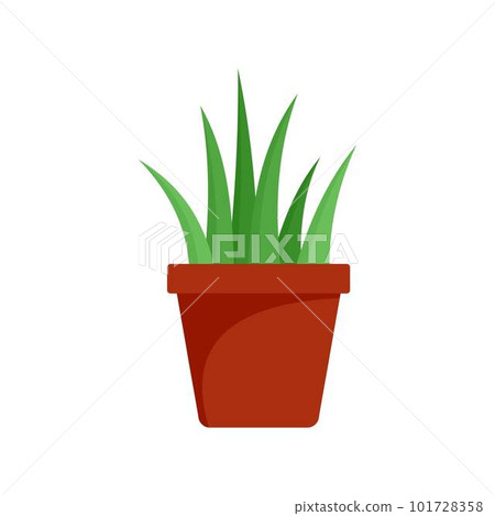 Aloe vera in pot icon. Flat illustration of aloe vera in pot vector icon for web isolated on white Aloe vera in pot icon. Flat illustration of aloe vera in pot vector icon for web isolated on white 101728358