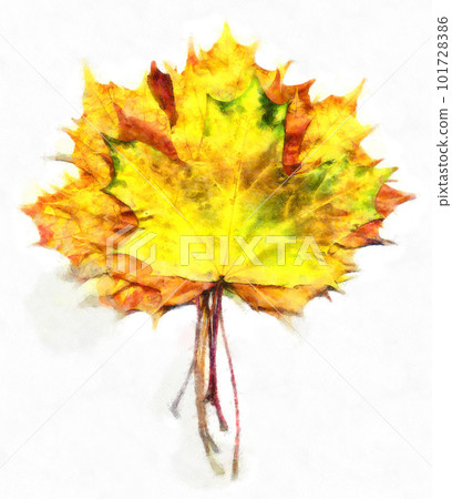 Bouquet of fall maple leaves digital watercolors 101728386