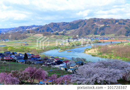 Miharashi Farm Road 花草交織的彩紙 Miharashi Farm Road 花草交織的彩紙 101728387