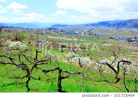 Miharashi Farm Road 花草交織的彩紙 Miharashi Farm Road 花草交織的彩紙 101728464