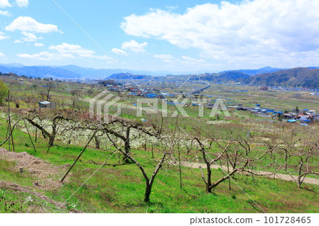 Miharashi Farm Road 花草交織的彩紙 Miharashi Farm Road 花草交織的彩紙 101728465