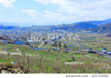 Miharashi Farm Road 花草交織的彩紙 Miharashi Farm Road 花草交織的彩紙 101728466