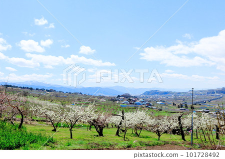 Miharashi Farm Road 花草交織的彩紙 Miharashi Farm Road 花草交織的彩紙 101728492