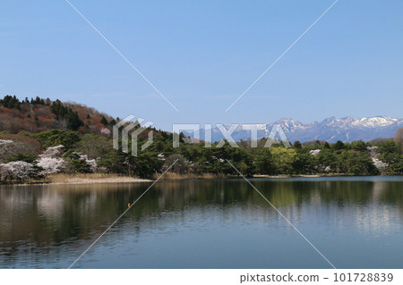 從著名的東北花園南港公園眺望櫻花和那須山脈 從著名的東北花園南港公園眺望櫻花和那須山脈 101728839