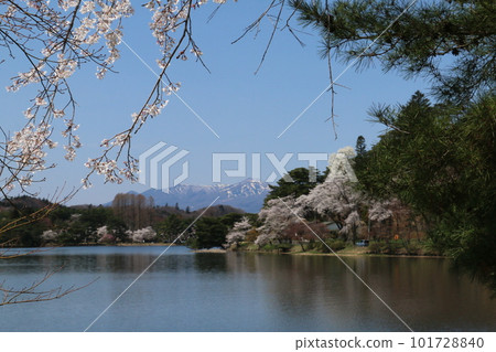 從著名的東北花園南港公園眺望櫻花和那須山脈 從著名的東北花園南港公園眺望櫻花和那須山脈 101728840