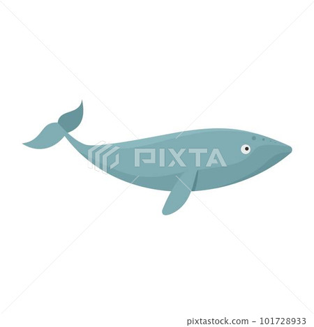 Finback whale icon. Flat illustration of finback whale vector icon for web isolated on white Finback whale icon. Flat illustration of finback whale vector icon for web isolated on white 101728933