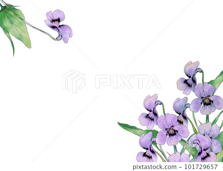 水彩畫的紫羅蘭花框架材料 水彩畫的紫羅蘭花框架材料 101729657