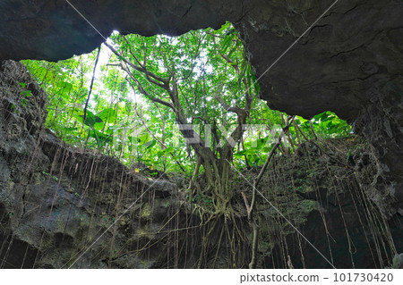 [Ryujin Limestone Cave] Ishigaki City, Okinawa Prefecture 101730420