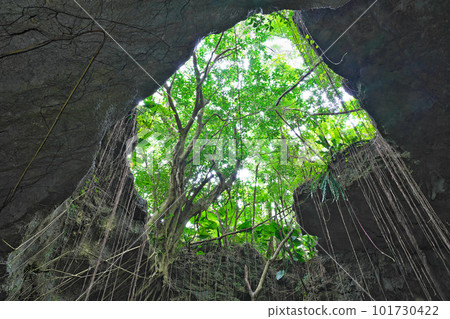 [Ryujin Limestone Cave] Ishigaki City, Okinawa Prefecture 101730422