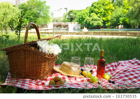 Spending time in nature - picnic, accessories for picnic 101730535