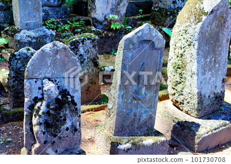 櫻花盛開的津金寺 信州神社和寺廟 美麗的神社和寺廟 古老的神社和寺廟 櫻花盛開的津金寺 信州神社和寺廟 美麗的神社和寺廟 古老的神社和寺廟 101730708