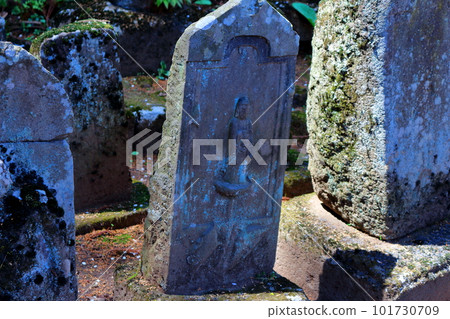 櫻花盛開的津金寺 信州神社和寺廟 美麗的神社和寺廟 古老的神社和寺廟 101730709