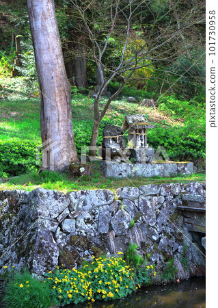Tsuganeji with cherry blossoms Shinshu shrines and temples Beautiful shrines and temples Ancient shrines and temples 101730958