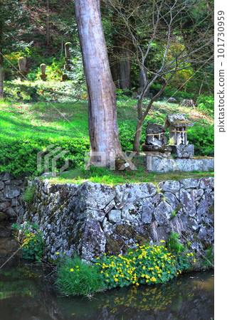 Tsuganeji with cherry blossoms Shinshu shrines and temples Beautiful shrines and temples Ancient shrines and temples Tsuganeji with cherry blossoms Shinshu shrines and temples Beautiful shrines and temples Ancient shrines and temples 101730959