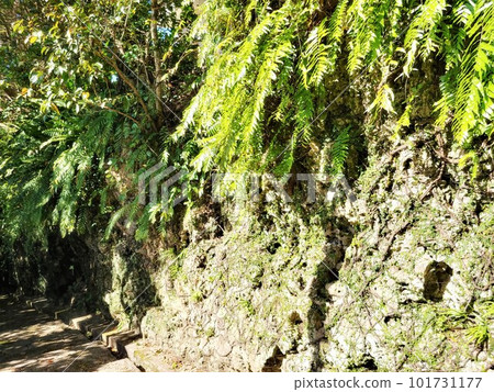 Shuri Kinjocho Ishidatamichi 3 Okinawa 101731177