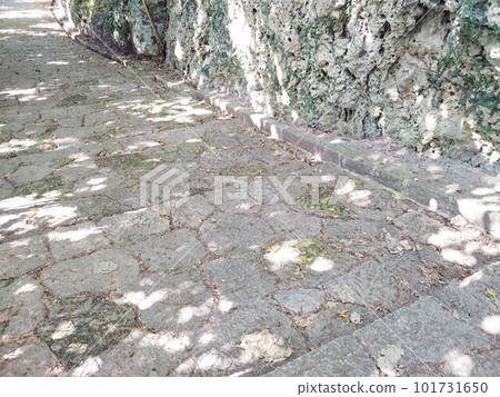 Shuri Kinjocho Ishidatamichi 7 Okinawa Shuri Kinjocho Ishidatamichi 7 Okinawa 101731650