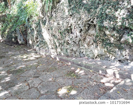 Shuri Kinjocho Ishidatamichi 8 Okinawa Shuri Kinjocho Ishidatamichi 8 Okinawa 101731694