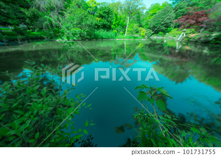 Tokyo park pond and sky Tokyo park pond and sky 101731755