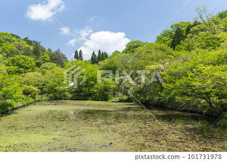 一個帶池塘的公園,周圍環繞著新鮮的綠色植物 一個帶池塘的公園,周圍環繞著新鮮的綠色植物 101731978
