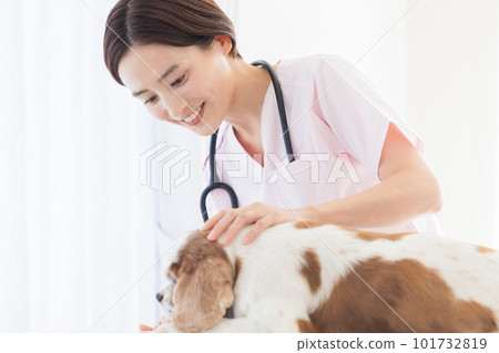 檢查狗的醫學獸醫 101732819