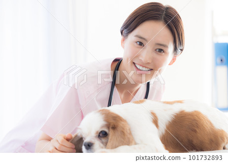 Medical veterinarian who examines dogs 101732893