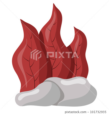 Vector illustration of red algae isolated on a white background. Aquarium grass on rocks Vector illustration of red algae isolated on a white background. Aquarium grass on rocks 101732935