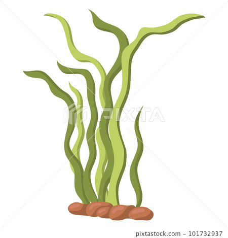 Vector illustration of long green algae isolated on a white background. Aquarium grass on rocks Vector illustration of long green algae isolated on a white background. Aquarium grass on rocks 101732937