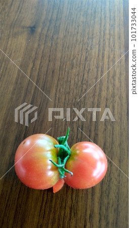 red twin tomatoes on wood table red twin tomatoes on wood table 101733044