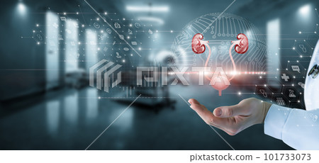 Concept of the study of the genitourinary system . 101733073