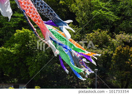 Carp streaming dancing in the wind Carp streaming dancing in the wind 101733354