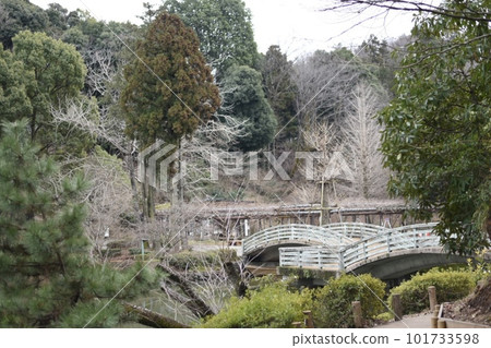 Bridge over forest 101733598