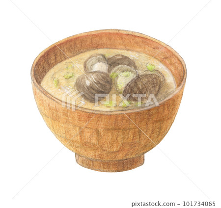 Miso soup with clams watercolor pencil analog illustration Miso soup with clams watercolor pencil analog illustration 101734065
