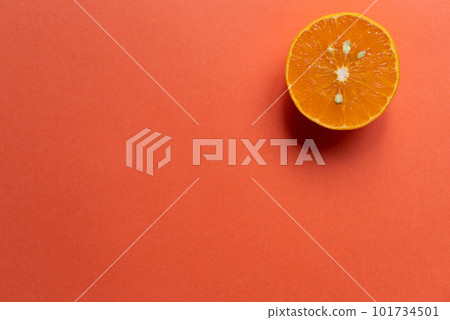 Round of oranges Round of oranges 101734501