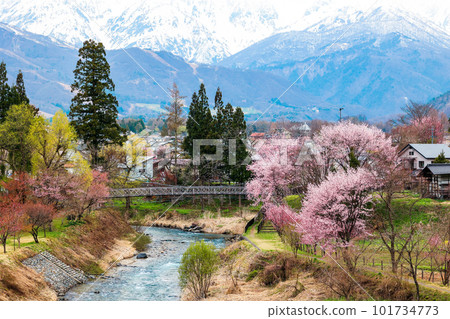 Suspension bridge in Oide Park 101734773