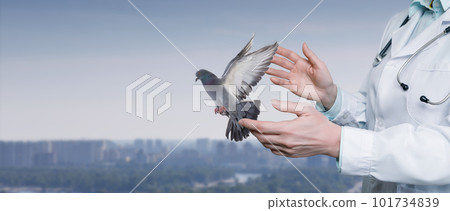 A doctor launches a dove into the sky . A doctor launches a dove into the sky . 101734839