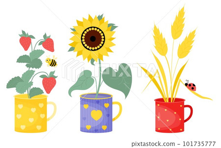 Collection summer cups with flower, berries and insects. Yellow sunflower, bouquet of spikelets with ladybug and branch with strawberries and cute bee. Vector illustration in flat style. Collection summer cups with flower, berries and insects. Yellow sunflower, bouquet of spikelets with ladybug and branch with strawberries and cute bee. Vector illustration in flat style. 101735777