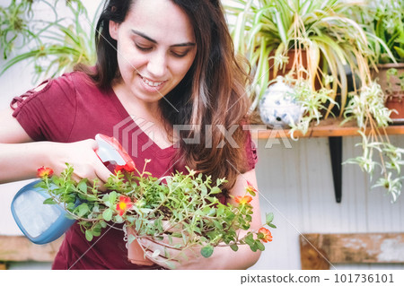 A young woman taking care of her garden, spraying water onto houseplants in pots at home in her shed 101736101