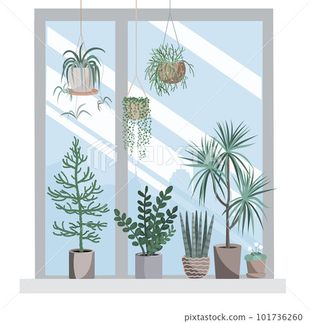 Interior with hanging home plants and houseplants on the windowsill. Cozy home or office design element. Vector isolated illustration in a flat styl Interior with hanging home plants and houseplants on the windowsill. Cozy home or office design element. Vector isolated illustration in a flat styl 101736260
