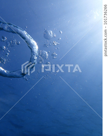 Submergence 101736266