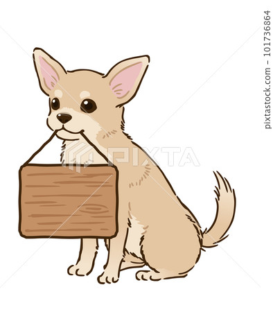 吉娃娃舉著牌子（光滑的外套，奶油） 101736864