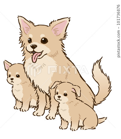 吉娃娃親子（長大衣、奶油色） 101736876