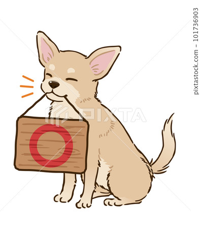 帶圓圈標記的吉娃娃（光滑的外套，奶油） 101736903