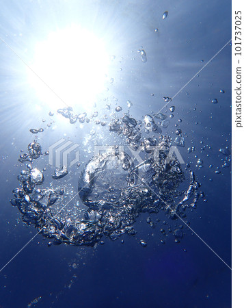泡沫破滅 101737025