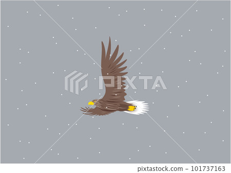 Illustration of a white-tailed eagle flying in the snowy sky 101737163