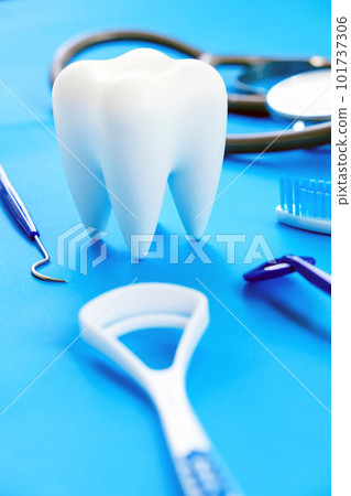 Dentistry concept. Dentistry concept. 101737306