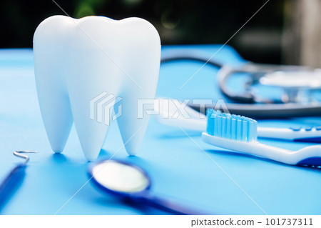 Dentistry concept. Dentistry concept. 101737311