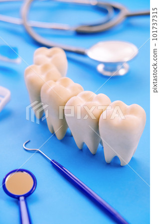 Dentistry concept. Dentistry concept. 101737315