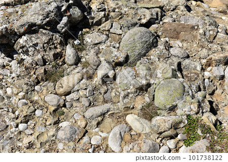 Texture of conglomerate rock with gravel, clasts and pebbles 101738122
