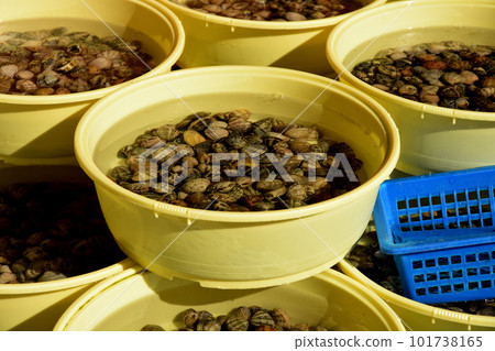 茨城縣中湊漁港市場 茨城縣中湊漁港市場 101738165