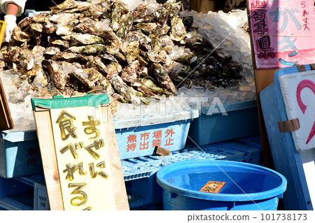 Ibaraki Prefecture Nakaminato Fishing Port Market 101738173